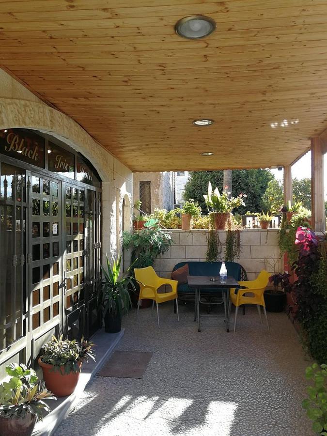 Black Iris Hotel Madaba Eksteriør billede